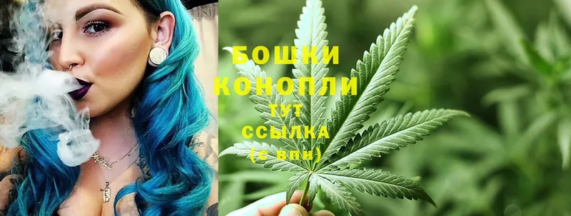 Шишки марихуана THC 21%  наркотики  Лысково 